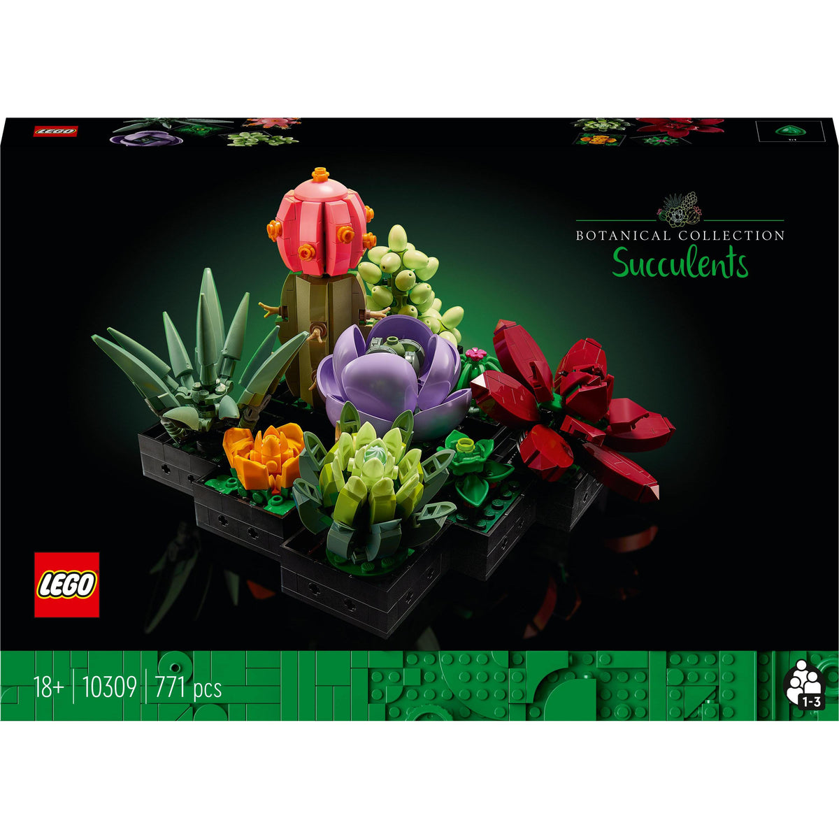 Succulents
