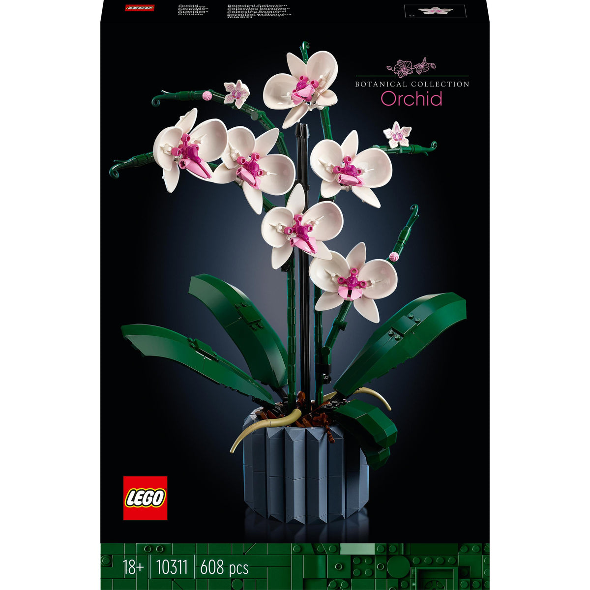 Orchid