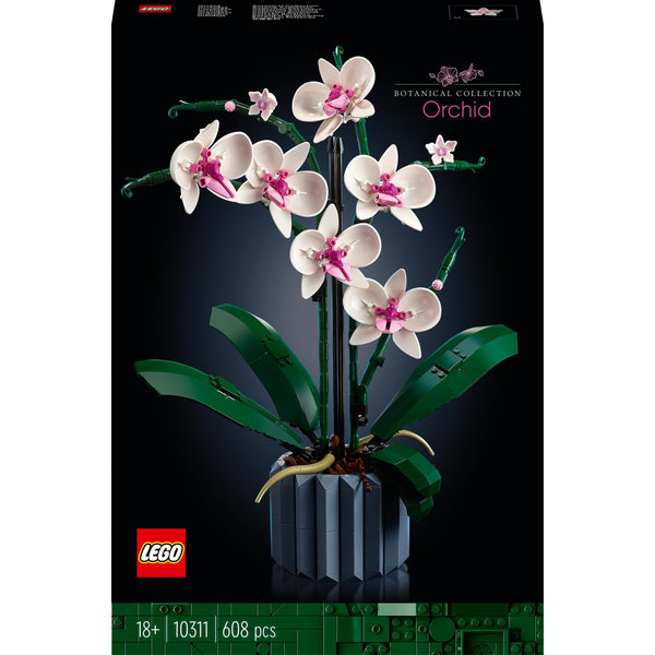 Orchid