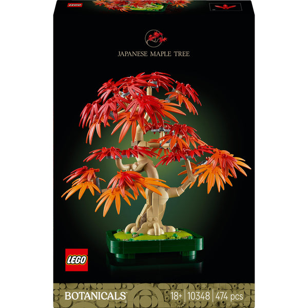Japanese Red Maple Bonsai Tree