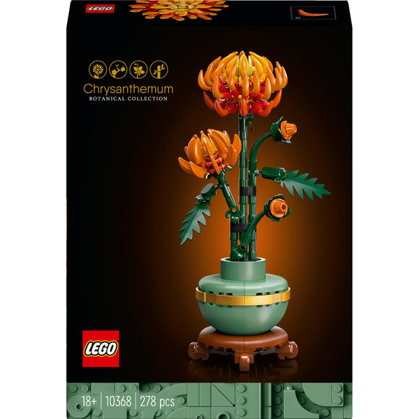 Chrysanthemum