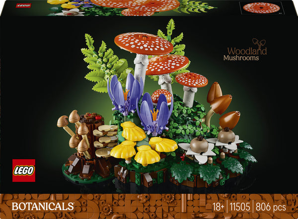 Woodland Mushrooms