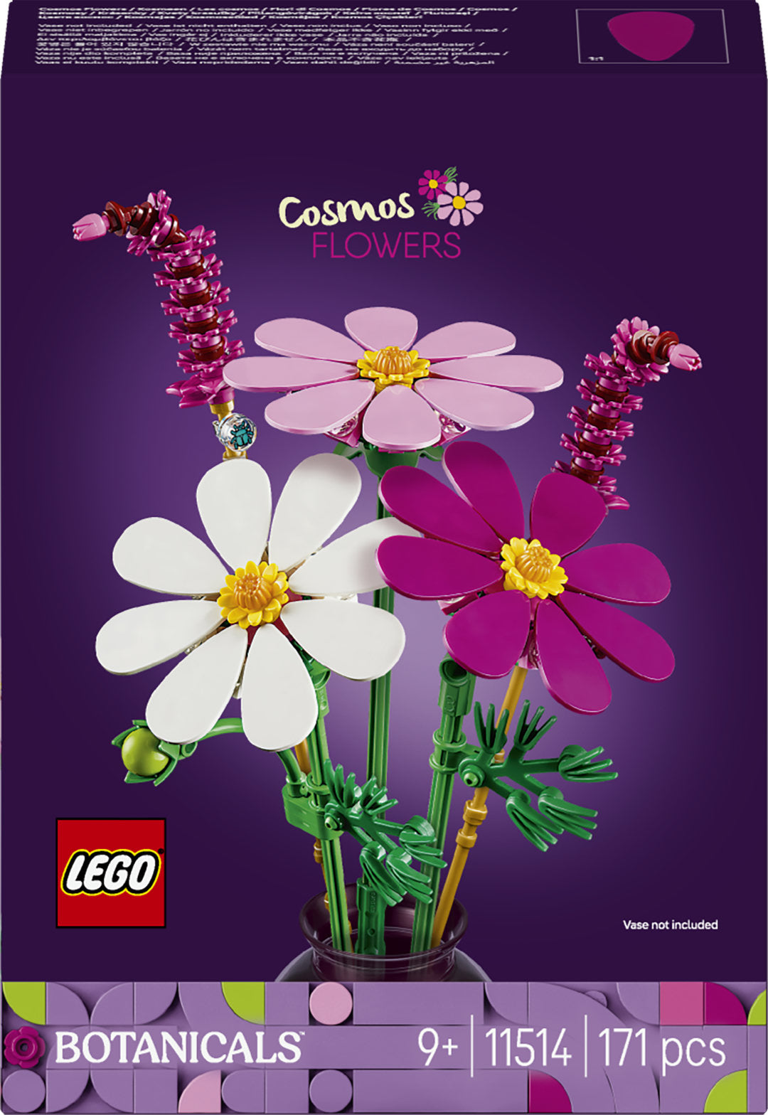 Cosmos Flowers