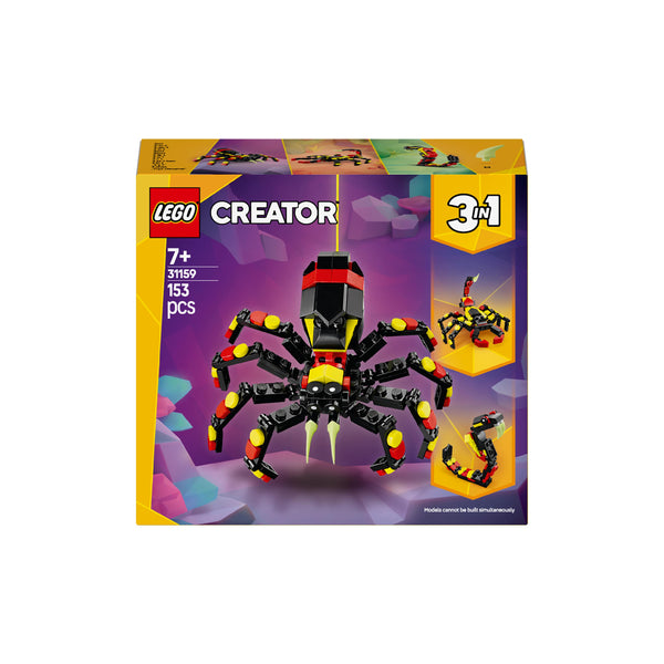 Wild Animals: Surprising Spider