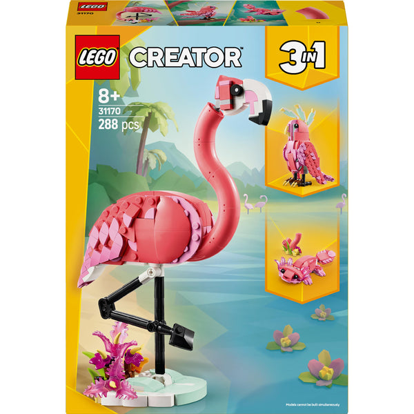 Wild Animals: Pink Flamingo