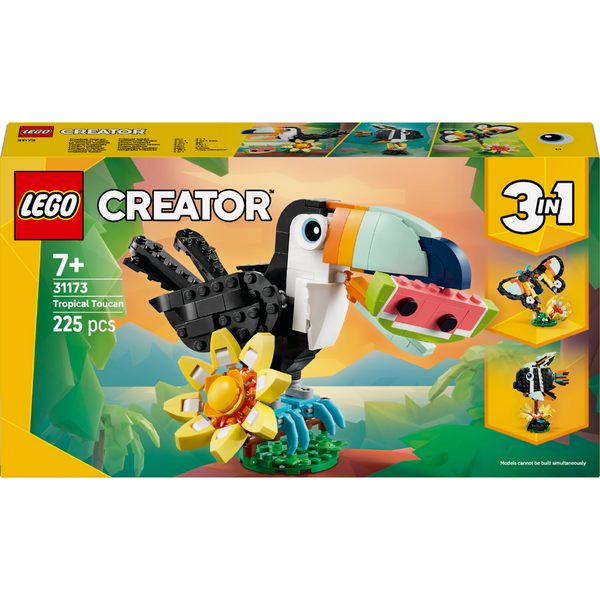 Wild Animals: Tropical Toucan