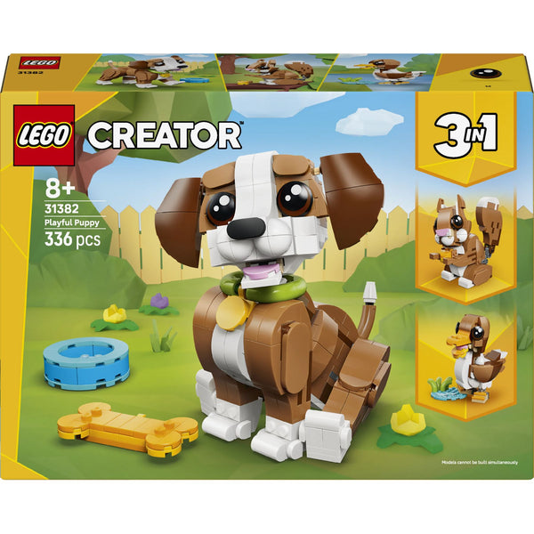 Cute Animals: Playful Puppy Dog