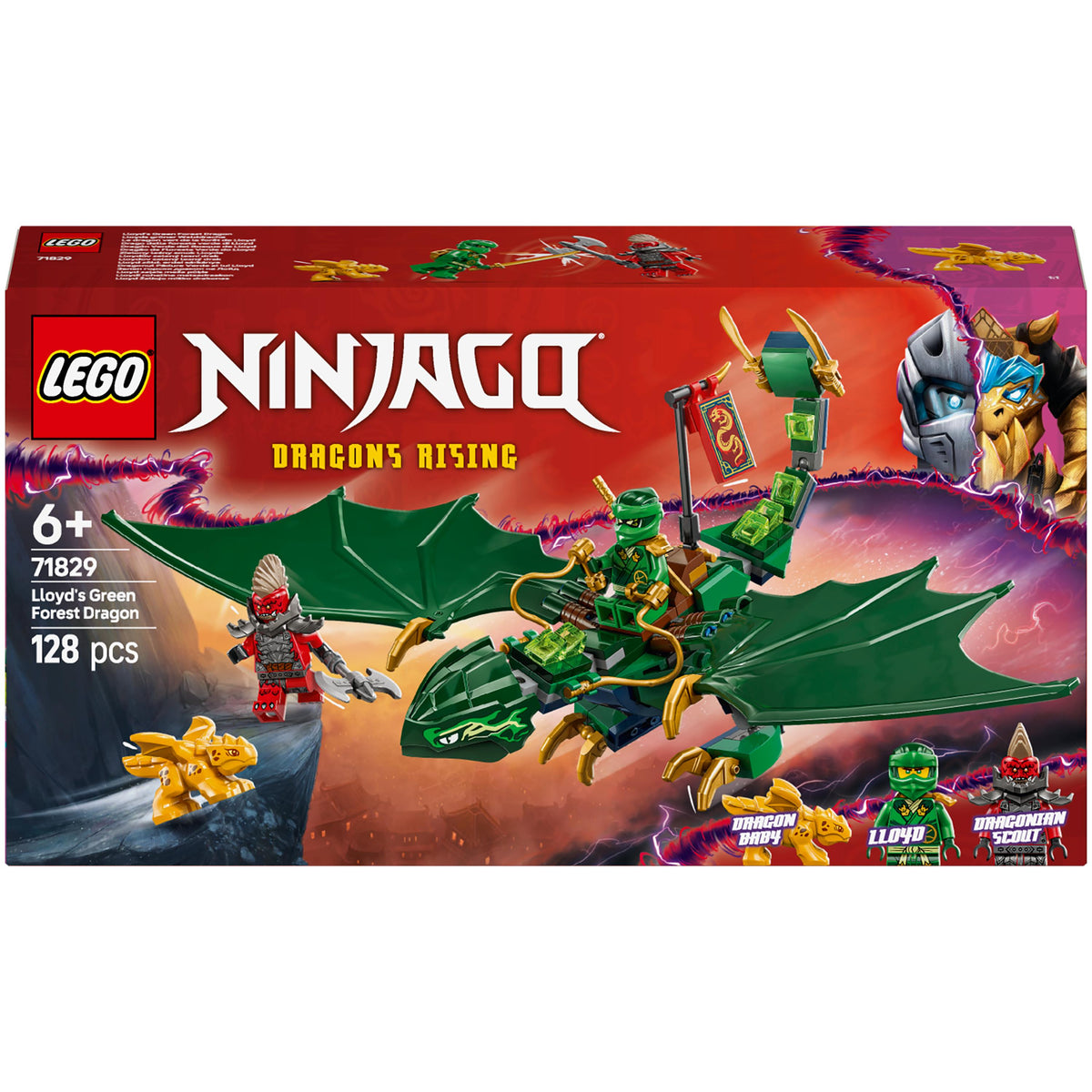 Lloyd's Green Forest Dragon